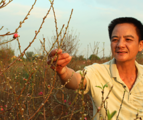 Cách chọn đào, quất đẹp ngày Tết