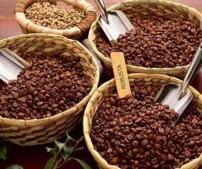 Phối trộn cà phê Arabica và cà phê Robusta: Nghệ thuật của sự tinh tế