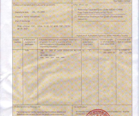 CO form E - và những vấn đề liên quan