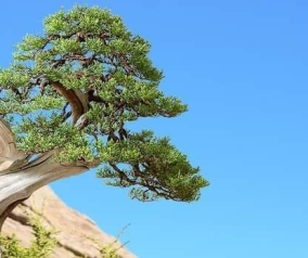 CÂU CHUYỆN CUỐI TUẦN: LÒNG NGƯỜI, DỰA VÀO CÁI GÌ ĐỂ NHÌN THẤU...