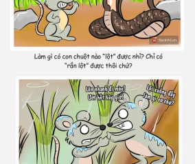 7 câu thành ngữ tục ngữ ai cũng quen dùng nhưng toàn bị sai