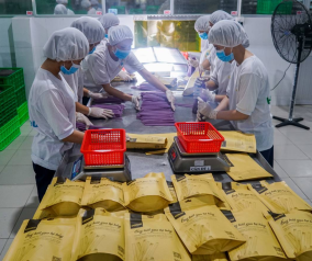 Sản xuất ống hút bột gạo ở miền Tây