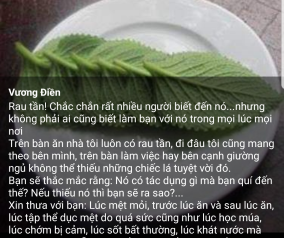 Công dụng của rau tần 