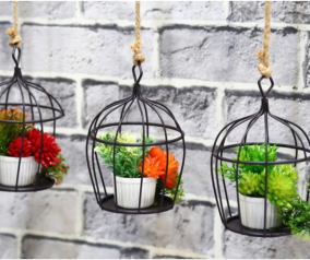 15 ý tưởng làm vườn treo trong nhà