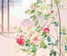 Cách khử mùi hôi cho nhà tắm